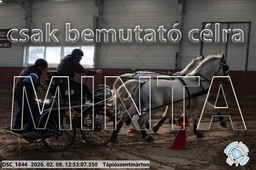 Mintakép 20260208-964