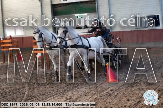 Mintakép 20260208-967