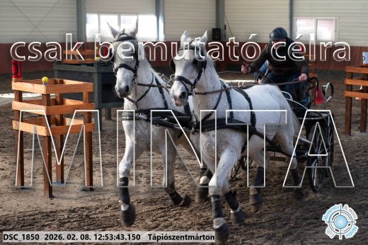 Mintakép 20260208-969