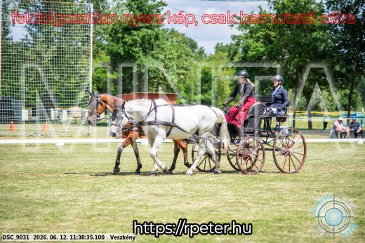 Mintakép 20260612-297
