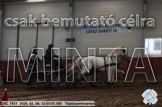 Mintakép 20260208-972