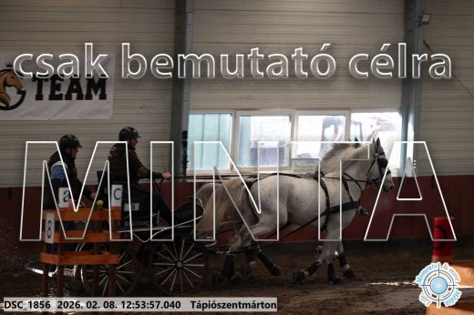 Mintakép 20260208-973