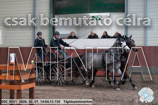 Mintakép 20260207-594
