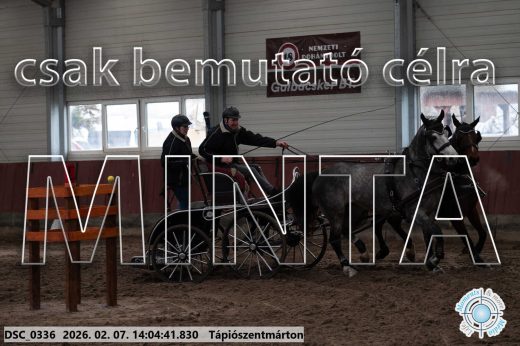Mintakép 20260207-597