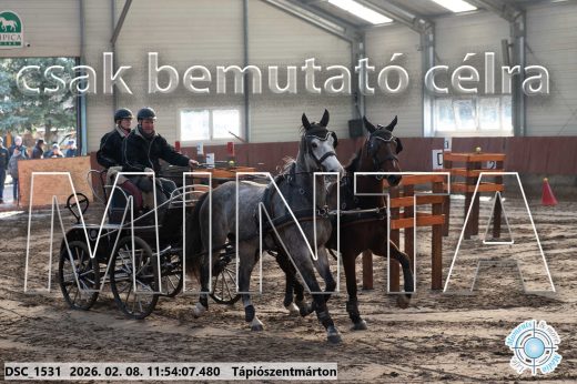 Mintakép 20260208-974