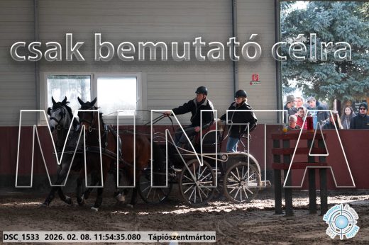 Mintakép 20260208-976