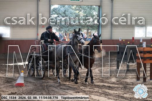 Mintakép 20260208-977