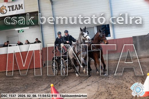 Mintakép 20260208-980