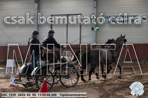 Mintakép 20260208-982