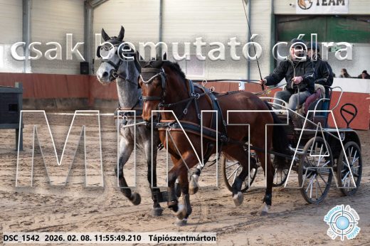 Mintakép 20260208-985