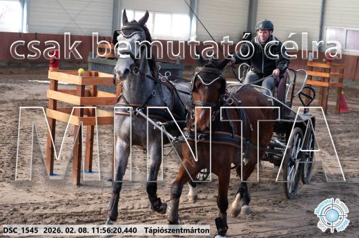 Mintakép 20260208-987