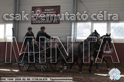 Mintakép 20260208-988