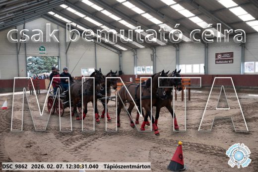 20260207-123031-DSC_9862.jpg