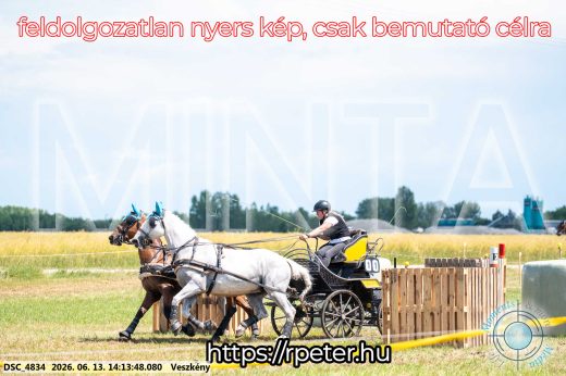 Mintakép 20260613-575