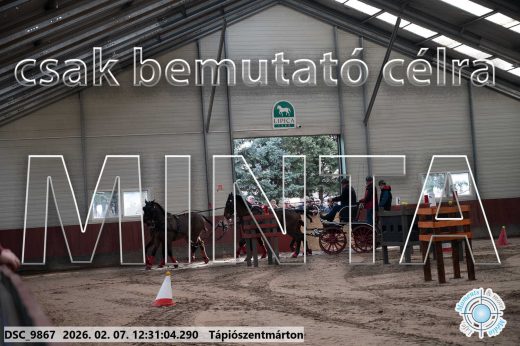 Mintakép 20260207-613