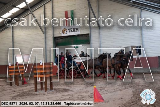 Mintakép 20260207-617