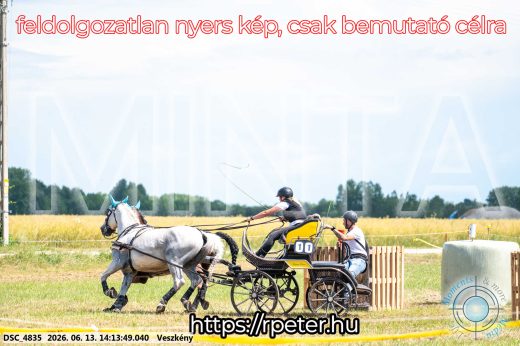 Mintakép 20260613-576