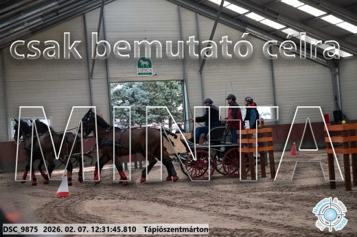 Mintakép 20260207-621