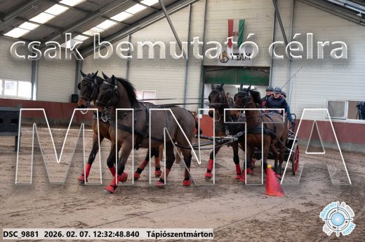 Mintakép 20260207-627