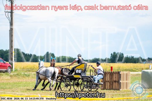 Mintakép 20260613-577