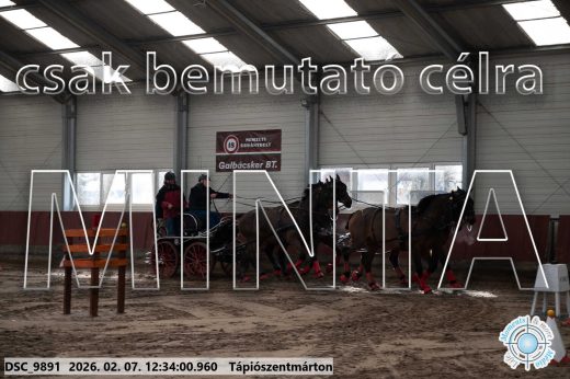 Mintakép 20260207-635