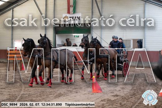 Mintakép 20260207-638
