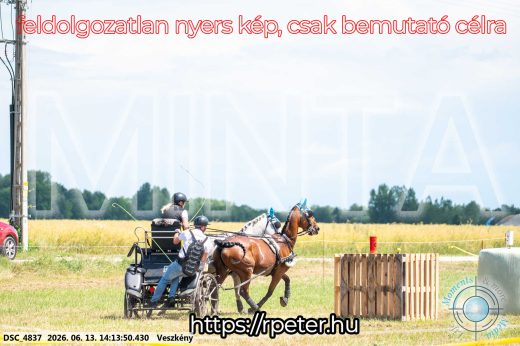 Mintakép 20260613-578