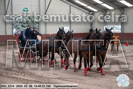 Mintakép 20260208-990