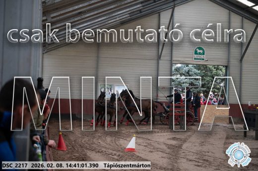 Mintakép 20260208-993