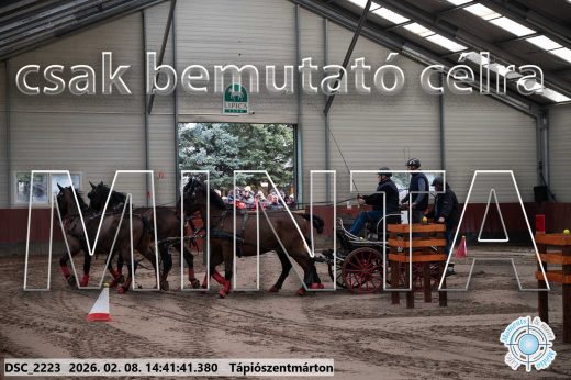 Mintakép 20260208-998