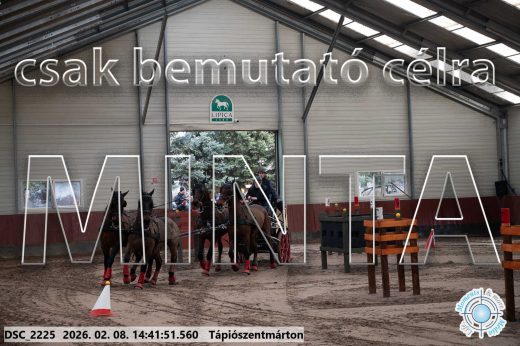 Mintakép 20260208-1000