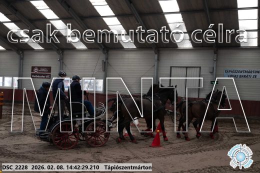 Mintakép 20260208-1003