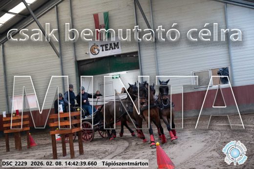 Mintakép 20260208-1004