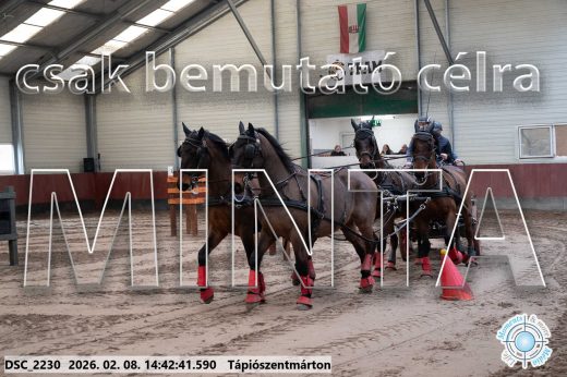 Mintakép 20260208-1005
