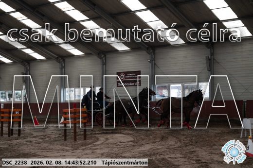 Mintakép 20260208-1013
