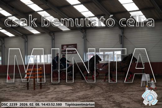 Mintakép 20260208-1014