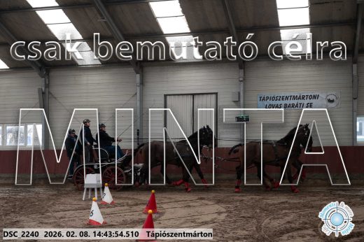 Mintakép 20260208-1015