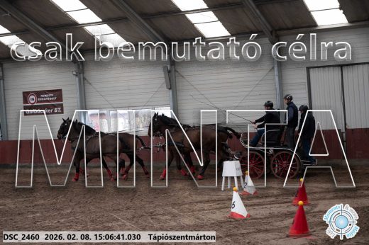 Mintakép 20260208-1019
