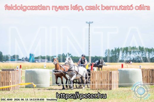 Mintakép 20260613-581