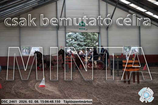 Mintakép 20260208-1020