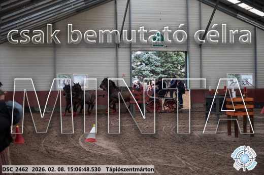 Mintakép 20260208-1021