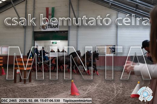 Mintakép 20260208-1024
