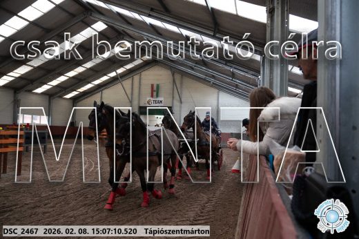 Mintakép 20260208-1026