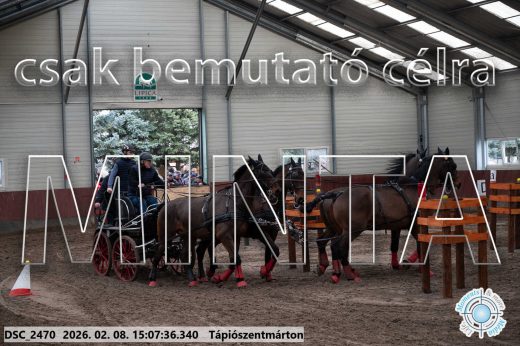 Mintakép 20260208-1028
