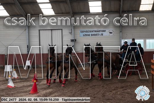 Mintakép 20260208-1034