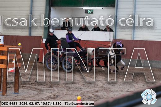 Mintakép 20260207-643