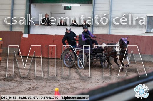 Mintakép 20260207-644