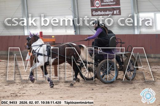 Mintakép 20260207-645