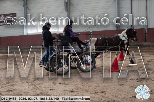 Mintakép 20260207-646