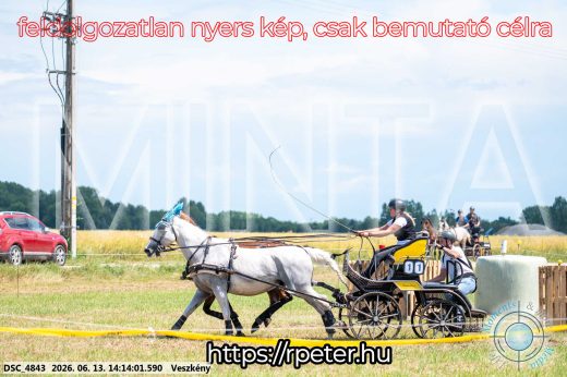 Mintakép 20260613-584